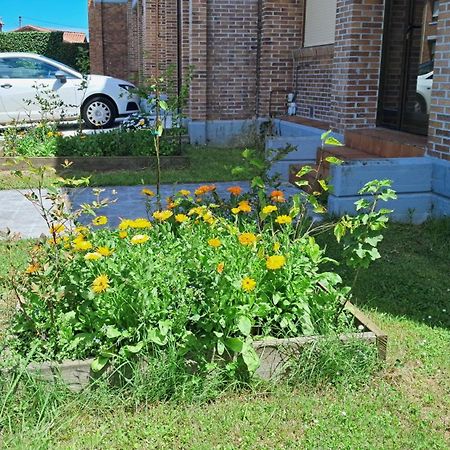 Casa Grande Con Jardin Villa Santa Cruz De Bezana Eksteriør billede
